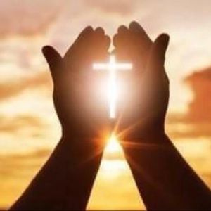 Meet your Posher, Marcelina